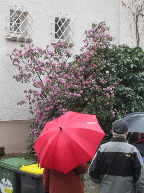 2016-02-14 Schimmelhüttenweg 04