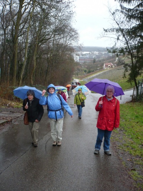 6. Blick hinab nach Zuffenhausen