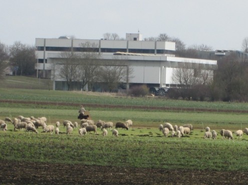 2016-03-06 Langenau 11