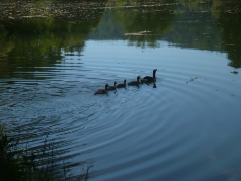 012 Zu Fünft auf dem See