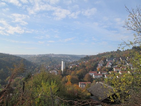 2016-10-23 Förster 08