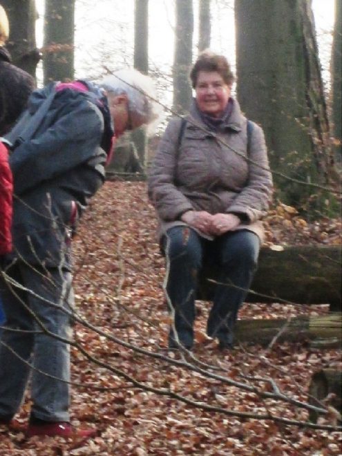 20170212-steinpruegel-13a