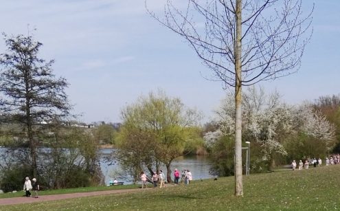 img_20170331_143714