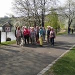 img_20170331_165316 img_20170331_165316