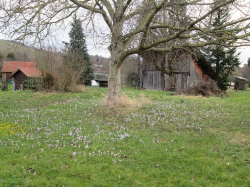 20180128-obere-ziegelei-fellbach-06